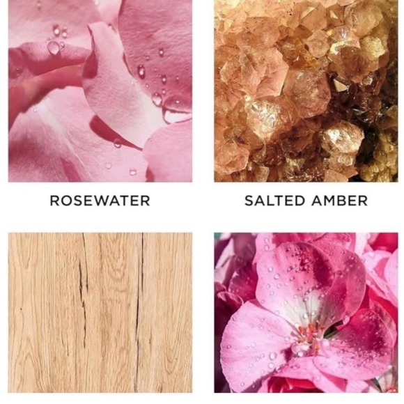 NEST Himalayan Salt & Rosewater Single Wick 8.1 Oz Scented Luxury Candle - Picture 4 of 6